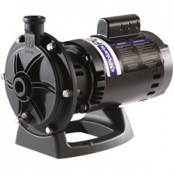 Polaris 3/4HP Booster Pump