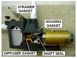 PUMP GASKETS