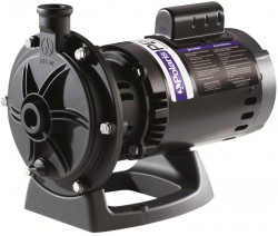 Polaris Booster Pump PB460