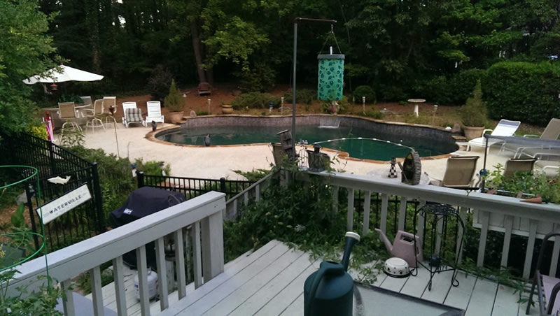 Peachtree City GA Swimmining Pool