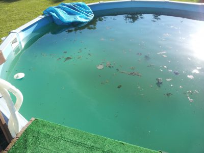 above ground pool turning green