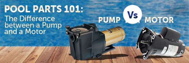 Pool Pump or Pool Motor?