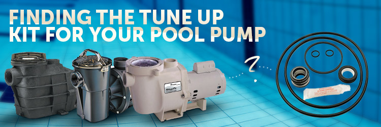 Pool Pump Tune Up Kit