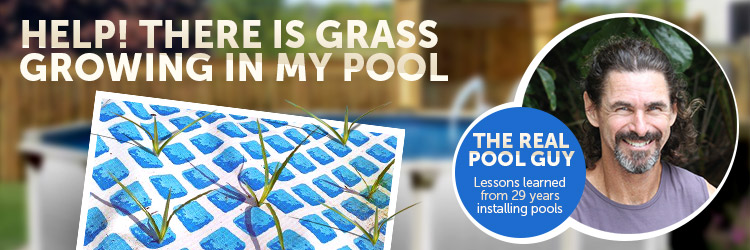 Nut Grass Pool Liner